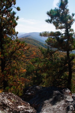 Looking Down The North Fork Mountain Trail