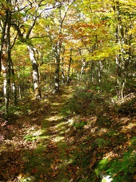 North Fork Trail