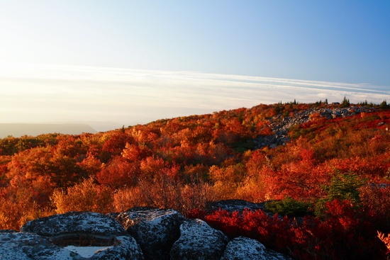 Sunrise Dolly Sods Fall Mountain View