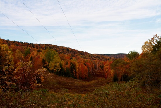 WV Powerline Right Of Way Fall Colors