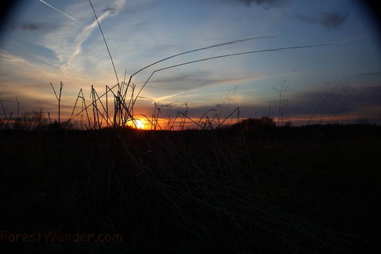 Spring Sunset Mountain Field