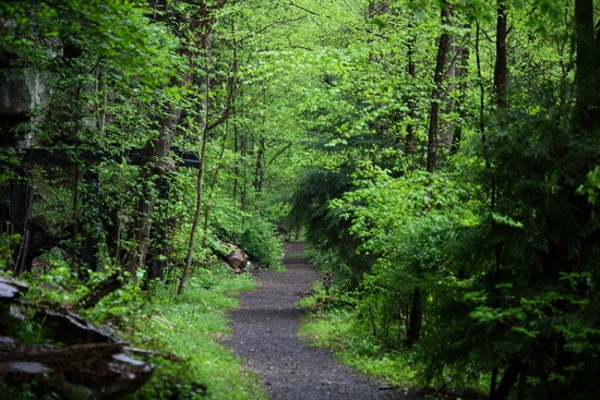 HawksNest WV Spring Hiking Trail