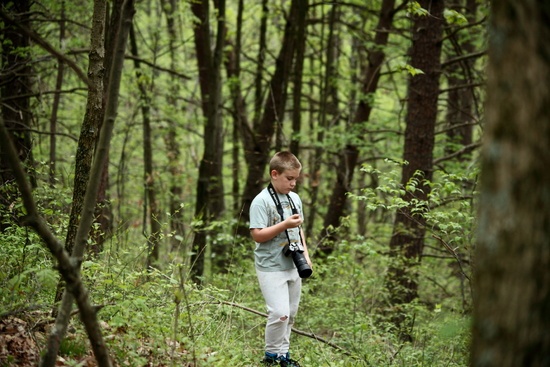 Little Forestwanderer Springtime Woods