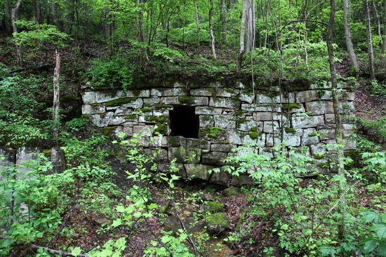 Old Abandoned Mine Wv Forest