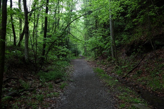 Trail Hawksnest West Virginia