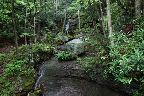 Waterfall Hawks Nest Trail
