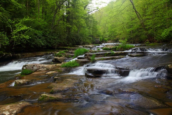 Wv Hawksnest Creek Stream Spring