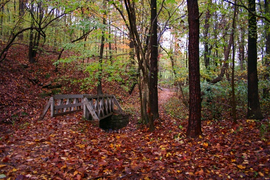 Bridge Wine Cellar Park