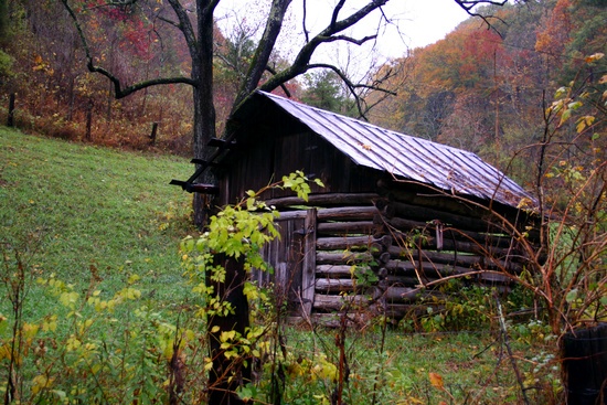 Fall Old Shed