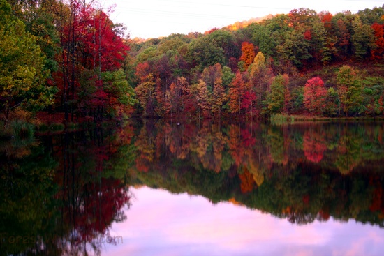 west virginia fall foliage pictures: Fall Wine Cellar Lake Trees