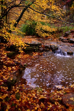 Autumn Kellys Creek Waterfall