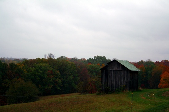 Autumun Season Old Barn