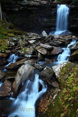 Hills Creek Autumn Waterfalls