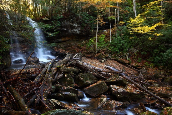 Wv Forest Waterfall Fall Foliage Logs Rocks