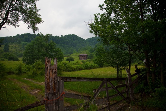 Summer Country Farm House Gate