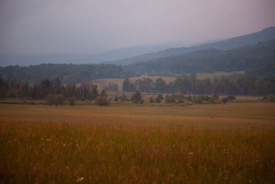 Evening Country Field Highfreeland Wv