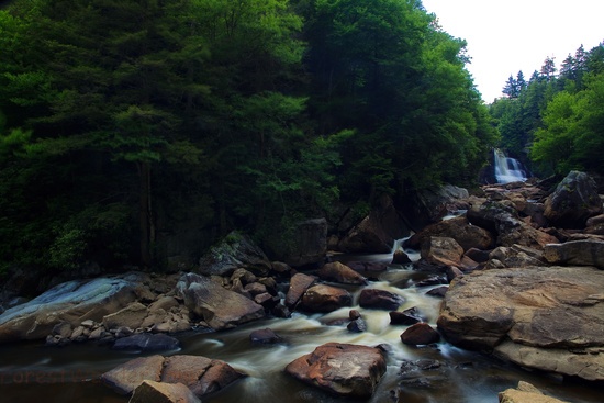 Spring Blackwaterfalls West Virginia