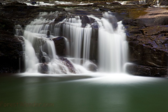 Waterfalls Spring Glade Creek