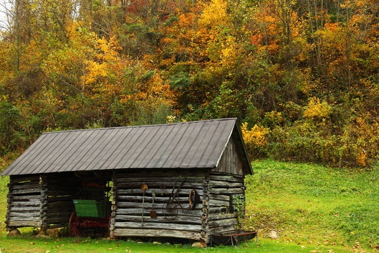 Autumn Farm Buggy Tool Shed