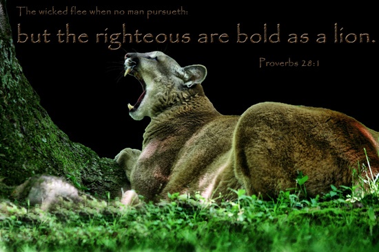 Proverbs 28.1 Wicked Flee Man Pursueth Righteous Bold Lion