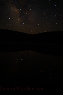 Forest Lake Stary Night Sky Reflections