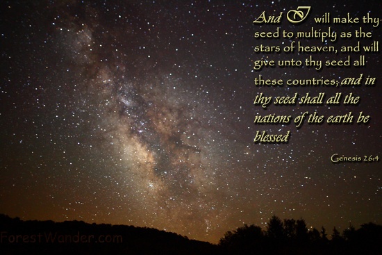Genesis 26-4 Multiply as the Stars of Heaven