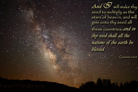 Genesis 26-4 Multiply as the Stars of Heaven