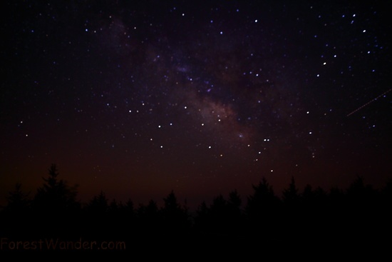 Spruce Knob Night Sky