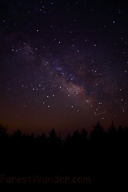 Spruce Knob Observation Tower Night Sky