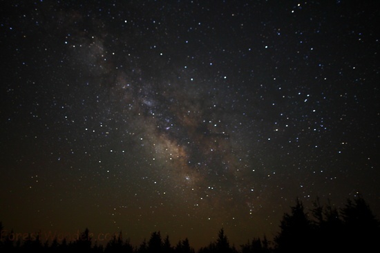 Spruce Knob wv Highest Point Milky way Galaxy Scenery