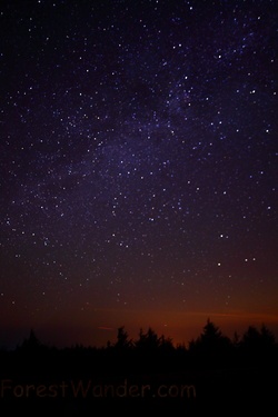 Stary Mountain Forest Sky