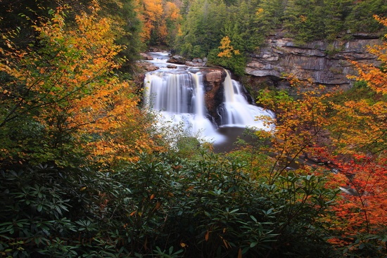 Blackwater Falls Autumn Foliage Scenery