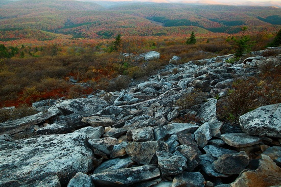 Autumn Colors Mountainside Spruce Knob