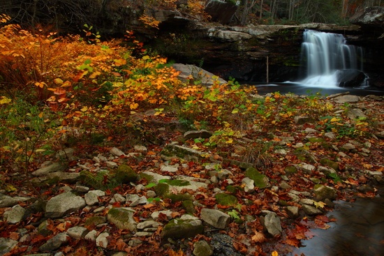 Autumn Foliage Mill Creek Waterfalls Wv