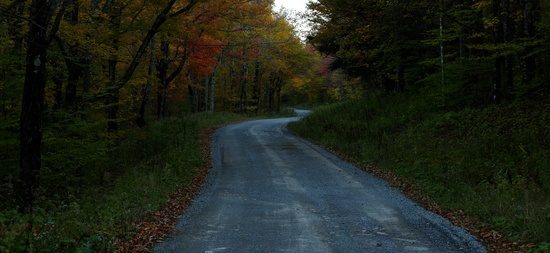 Autumn Forest Foliage Country Road