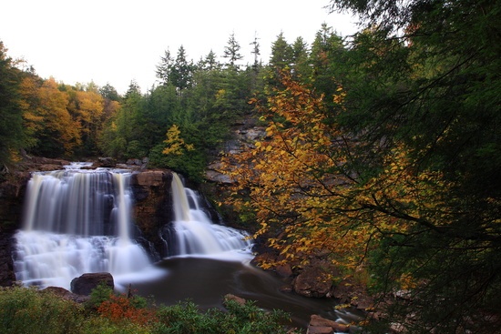 Blackwater Falls Waterfalls Fall Foliage Trees