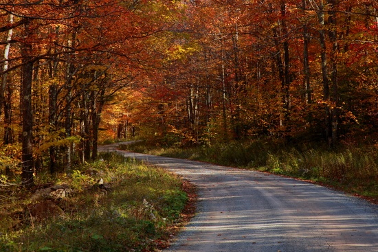 Country Roads Take me Home