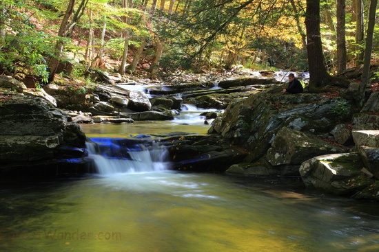 Meditation Beautiful Autumn Forest Waterfall