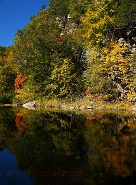 North Fork Fall River Reflections