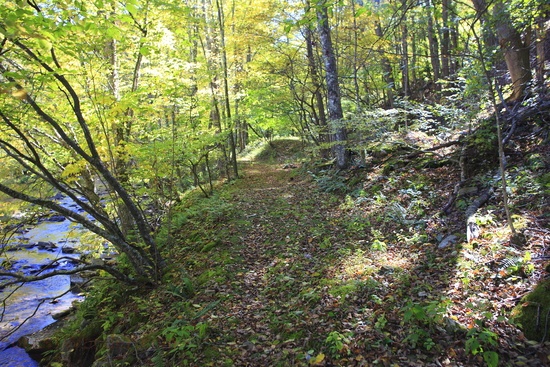 Seneca Creek Autumn Foliage Hiking Trail