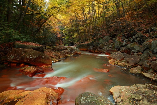 Autumn Creek Rocks Stream