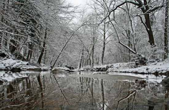 Winter Creek Reflection Snow Covered Trees