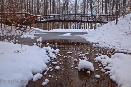 Foot Bridge Winter Snow Ice Pond
