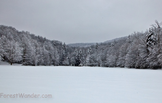 Scenic Frozen Winter Lake