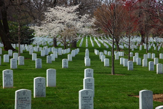 Spring Arlington Cemetery