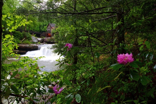 Spring WV Gristmill Waterfalls Forest