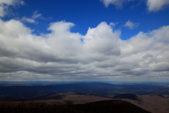 Blue Sky Shenandoah Valley