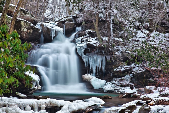 Forest Waterfall Icy Ravine