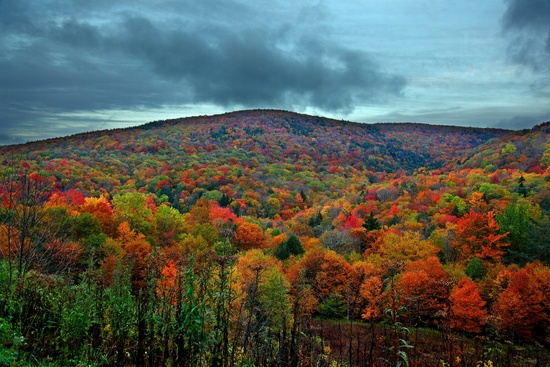 Colorful Autumn Mountain