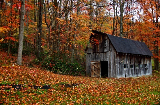 Autumn Country Barn